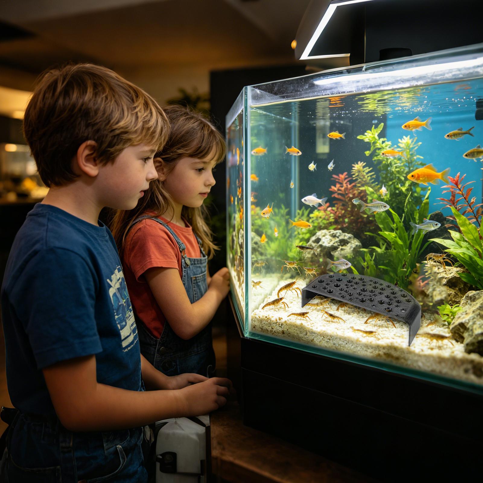 زينة مائية للحيوانات الأليفة،  - مراجعة Aquatic Zone وسعره